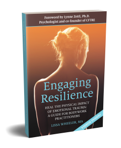 T- EngagingResilience_3DCover
